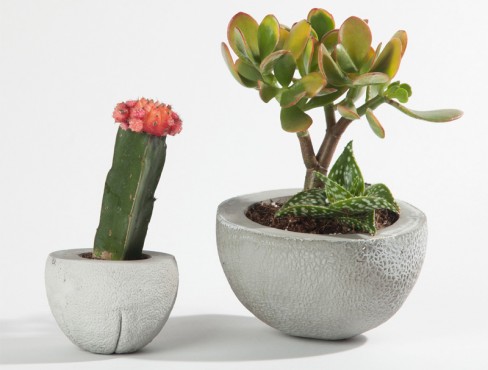 Chen & Williams Arcademi